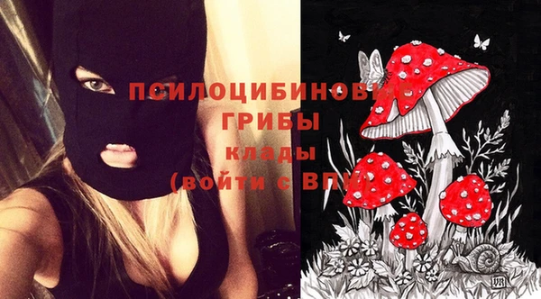 дурь Вязники