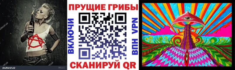 mega как войти  Красный Холм  Псилоцибиновые грибы Cubensis 
